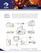 Liquid Delivery System - 1