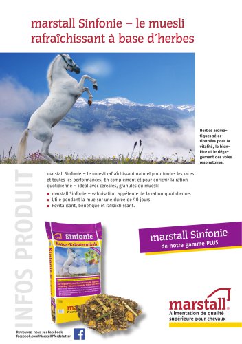 Sinfonie