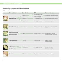 Guide to Feed Preservation - 5