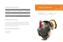 POULTRY FEEDS GUIDE - 11