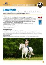 Horse-Catalog - 9