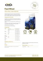 Feed Wheat-1