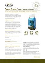 Ready-Rumen-1