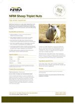 Sheep Triplet Nuts-1