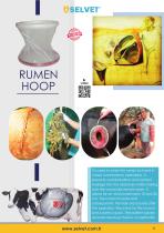 catalog 2020-11