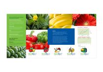 Nutriflex-2