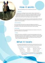 CET Equine Spas Brochure - 4