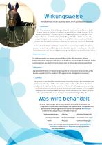 CET Equine Spas Brochure-4