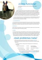 CET Equine Spas Brochure-4