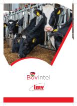 BovIntel catalogue