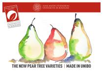 The newpear tree varieties | MADE IN UNIBO - 1