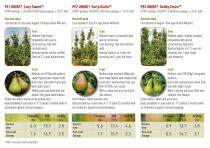 The newpear tree varieties | MADE IN UNIBO - 6