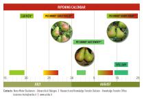 The newpear tree varieties | MADE IN UNIBO - 7