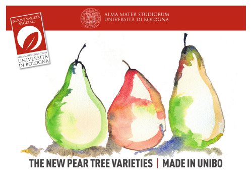 The newpear tree varieties | MADE IN UNIBO