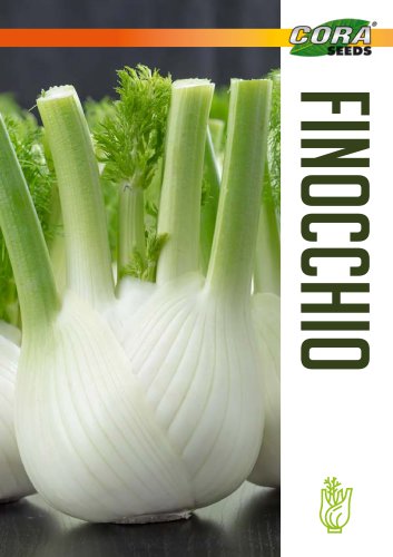 FINOCCHIO