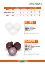 ONION-3