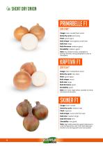 ONION-4