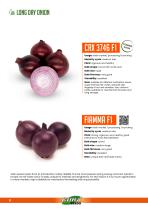 ONION-6