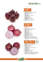 ONION-7