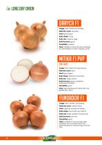 ONION-8