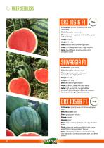 WATERMELON-10