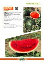 WATERMELON-3