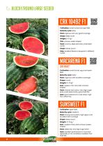 WATERMELON-4