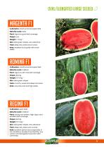 WATERMELON-5