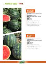 WATERMELON-6