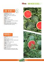 WATERMELON-7