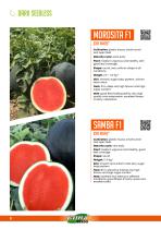 WATERMELON-8