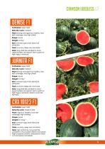 WATERMELON-9