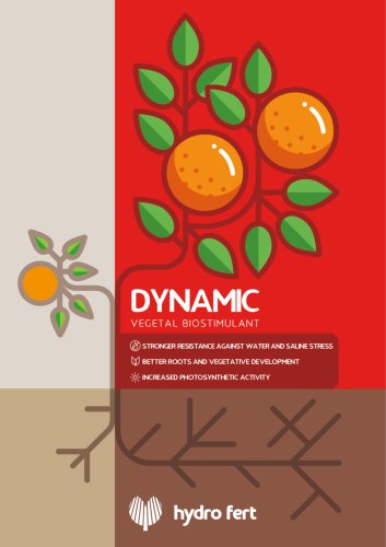 Dynamic