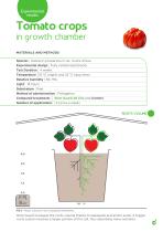 ROOT GUARD-5
