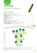 ROOT GUARD-7