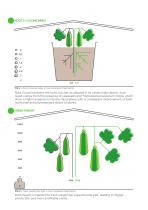 ROOT GUARD-8