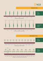 NGS Hydroponic System - 17