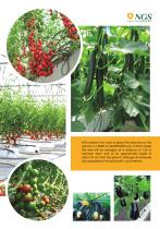 NGS Hydroponic System - 7