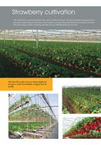 NGS Hydroponic System - 8