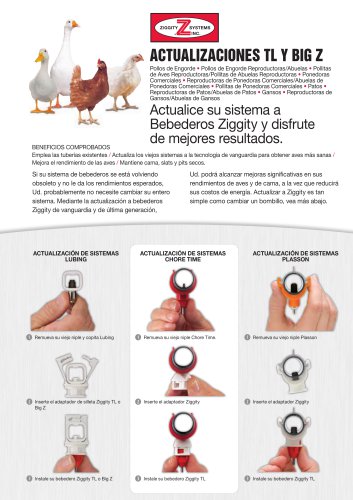 Actualizaciones TL y Big Z