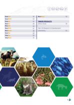 Products Catalog-3