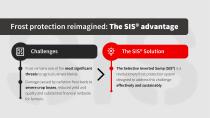 SIS-2