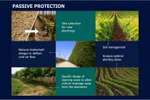 Stargarden Presentation-10