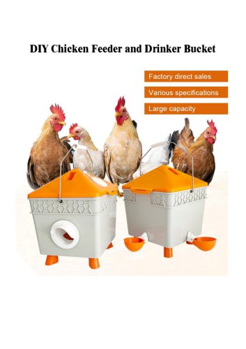 Automatic Chicken Feeder and Drinker Bucket With Legs