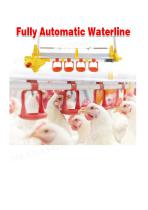 Automatic Chicken Nipple Drinker Line System and Feeding Pan System-1
