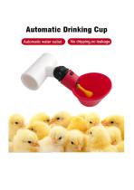 Automatic Chicken Water Cup-1