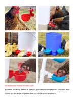 Automatic DIY Poultry Drinker Cup-2