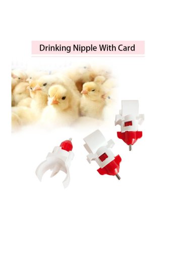 Ball valve layer chicken nipple drinker