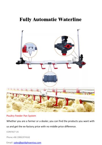 Broiler Farming Automatic Feeding and Drinking Line