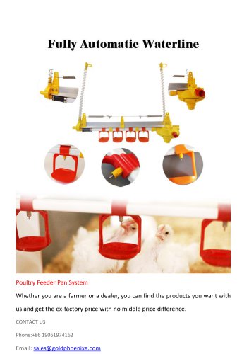 Broiler Farming Automatic Feeding and Drinking Line